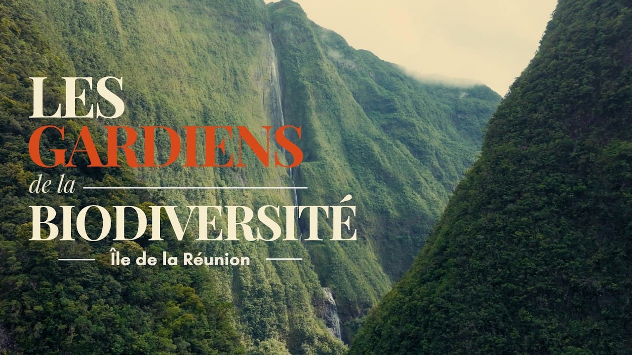 Teaser du documentaire « Les gardiens de la biodiversité » à La Réunion, réalisé par Lign7 Studio